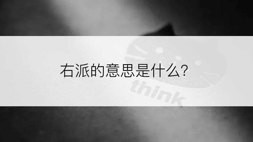 右派的意思是什么？