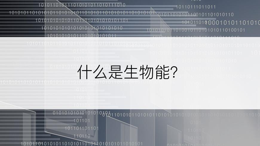 什么是生物能？