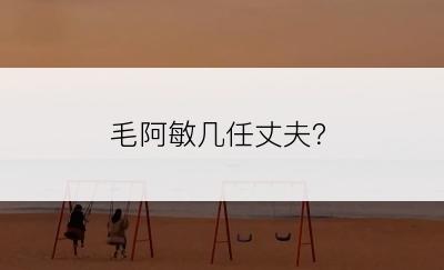 毛阿敏几任丈夫？