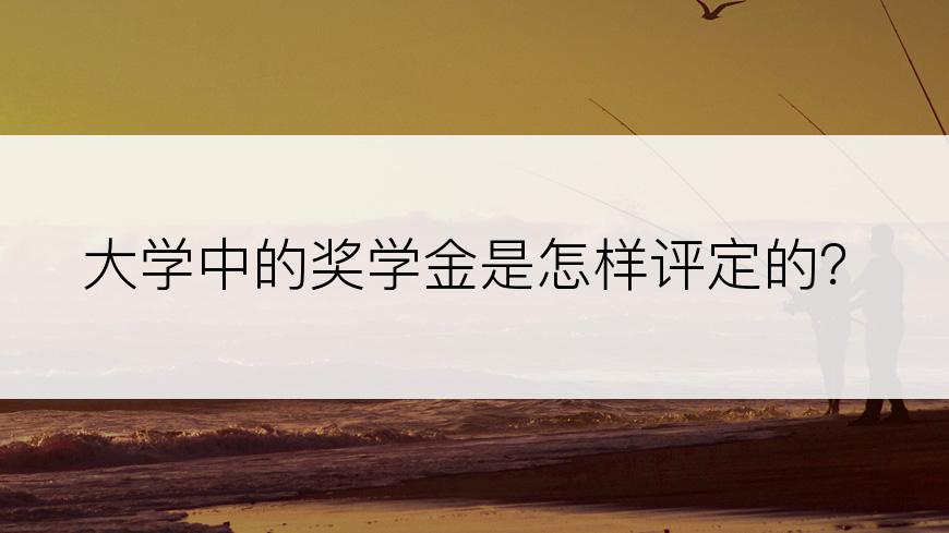 大学中的奖学金是怎样评定的？