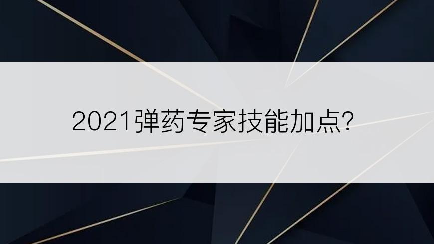 2021弹药专家技能加点？