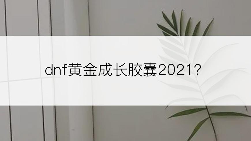 dnf黄金成长胶囊2021？