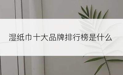 湿纸巾十大品牌排行榜是什么