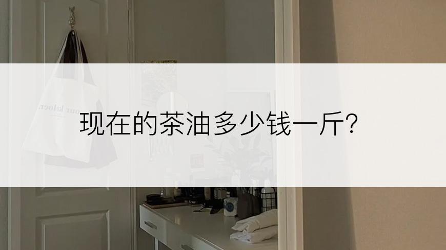 现在的茶油多少钱一斤？