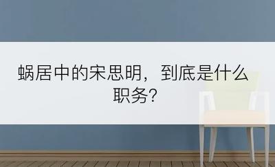 蜗居中的宋思明，到底是什么职务？