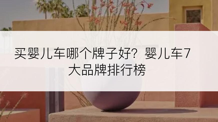 买婴儿车哪个牌子好？婴儿车7大品牌排行榜