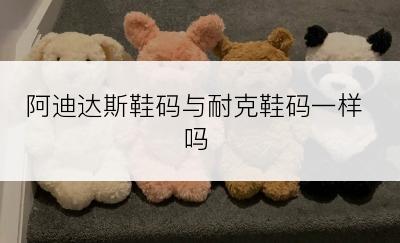 阿迪达斯鞋码与耐克鞋码一样吗