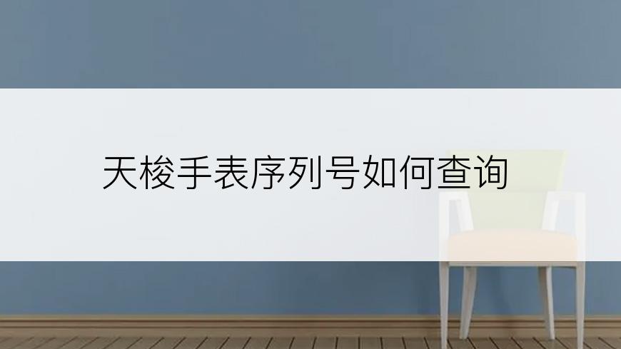 天梭手表序列号如何查询