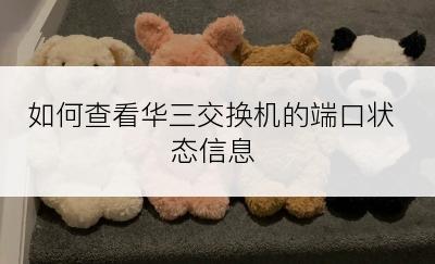 如何查看华三交换机的端口状态信息
