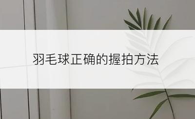 羽毛球正确的握拍方法