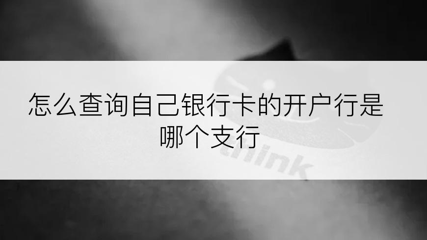 怎么查询自己银行卡的开户行是哪个支行