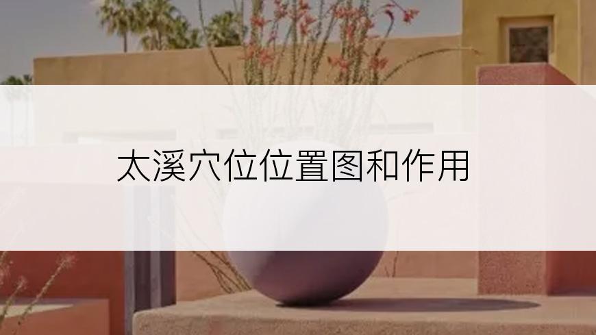 太溪穴位位置图和作用
