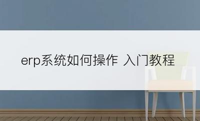 erp系统如何操作 入门教程