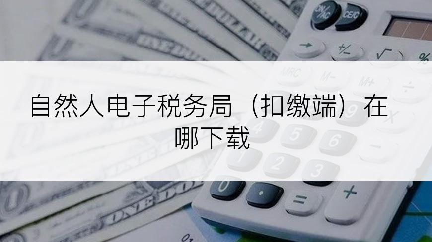 自然人电子税务局（扣缴端）在哪下载