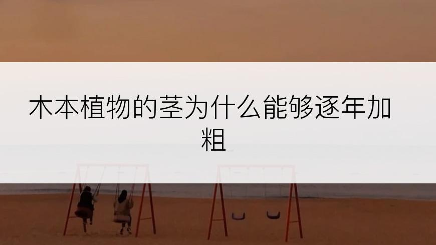 木本植物的茎为什么能够逐年加粗
