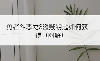 勇者斗恶龙8盗贼钥匙如何获得（图解）