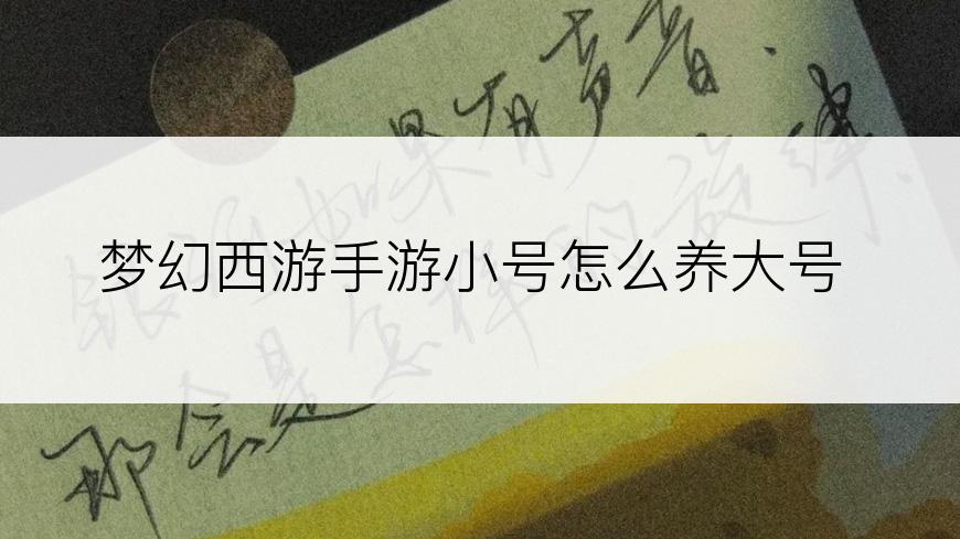梦幻西游手游小号怎么养大号