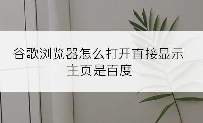 谷歌浏览器怎么打开直接显示主页是百度
