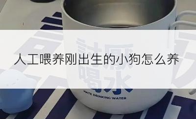 人工喂养刚出生的小狗怎么养