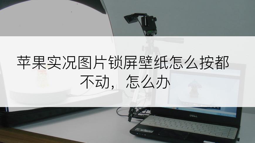 苹果实况图片锁屏壁纸怎么按都不动，怎么办