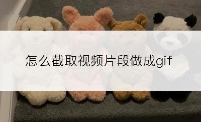 怎么截取视频片段做成gif