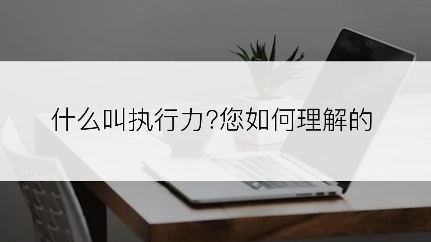 什么叫执行力?您如何理解的