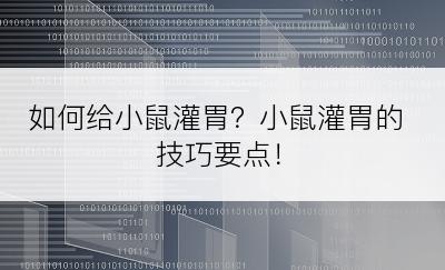 如何给小鼠灌胃？小鼠灌胃的技巧要点！