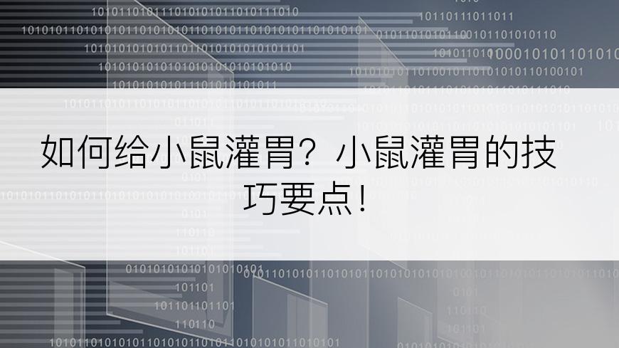 如何给小鼠灌胃？小鼠灌胃的技巧要点！