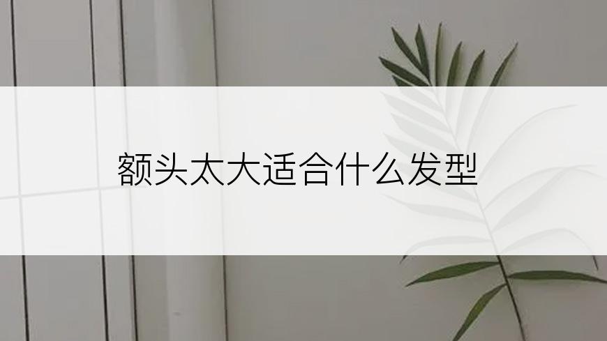 额头太大适合什么发型