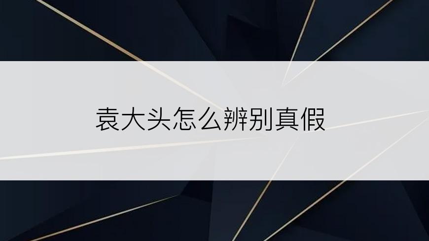 袁大头怎么辨别真假