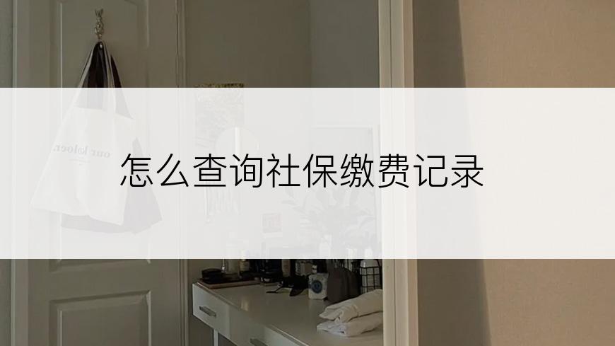 怎么查询社保缴费记录