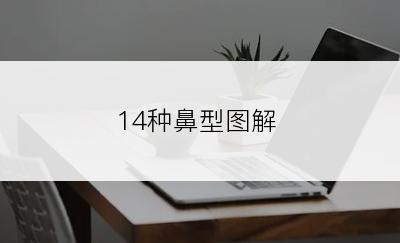14种鼻型图解