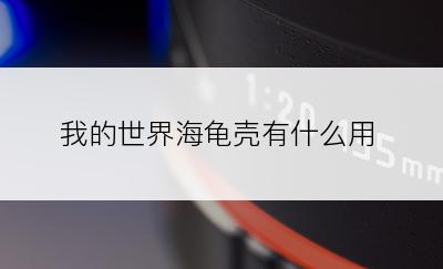 我的世界海龟壳有什么用