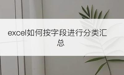 excel如何按字段进行分类汇总