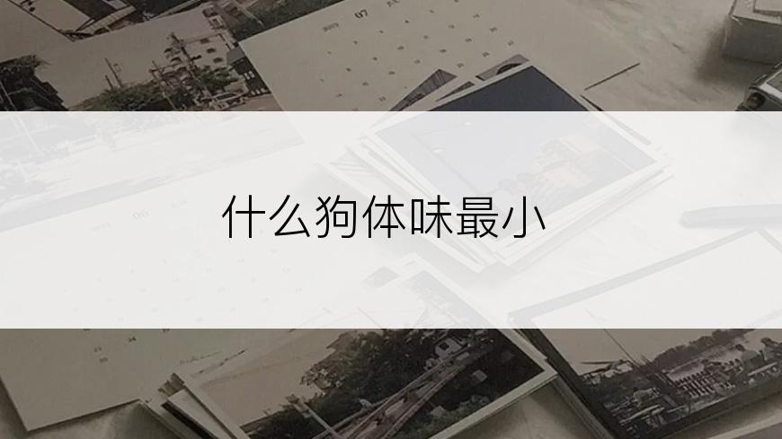 什么狗体味最小