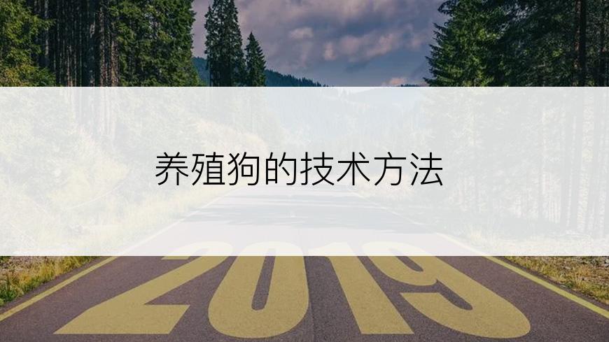 养殖狗的技术方法
