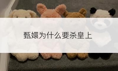 甄嬛为什么要杀皇上