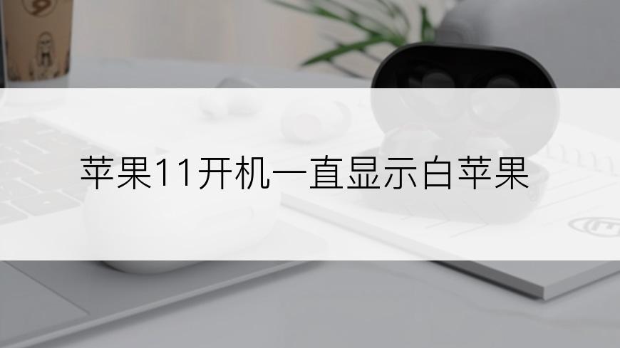 苹果11开机一直显示白苹果