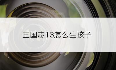 三国志13怎么生孩子