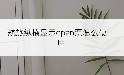 航旅纵横显示open票怎么使用