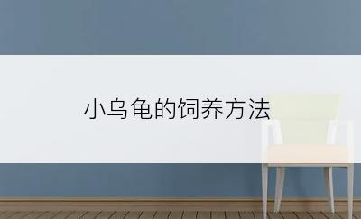小乌龟的饲养方法