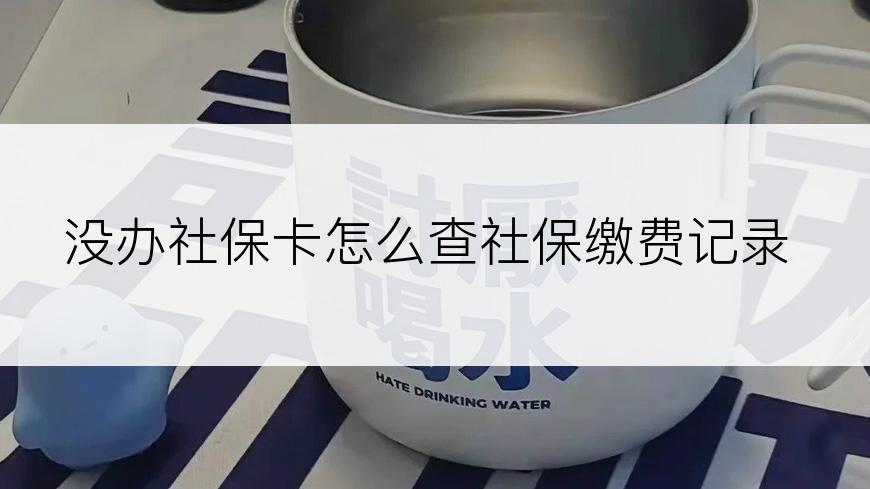 没办社保卡怎么查社保缴费记录