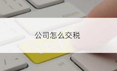 公司怎么交税