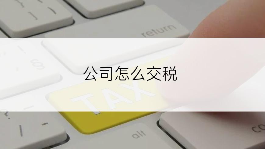 公司怎么交税
