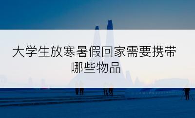 大学生放寒暑假回家需要携带哪些物品