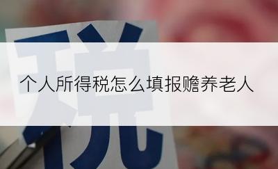 个人所得税怎么填报赡养老人