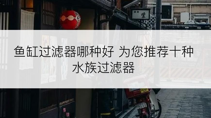 鱼缸过滤器哪种好 为您推荐十种水族过滤器
