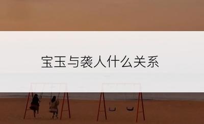 宝玉与袭人什么关系