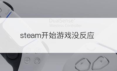 steam开始游戏没反应