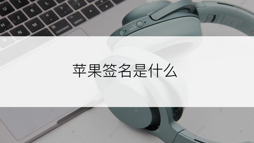 苹果签名是什么